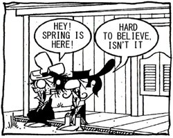 Spring.jpg