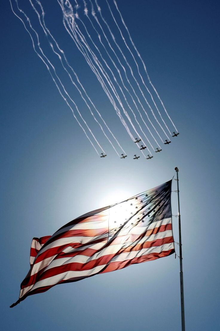 d0524d0672f8437660e5f8d386d3069b--american-symbols-american-pride.jpg