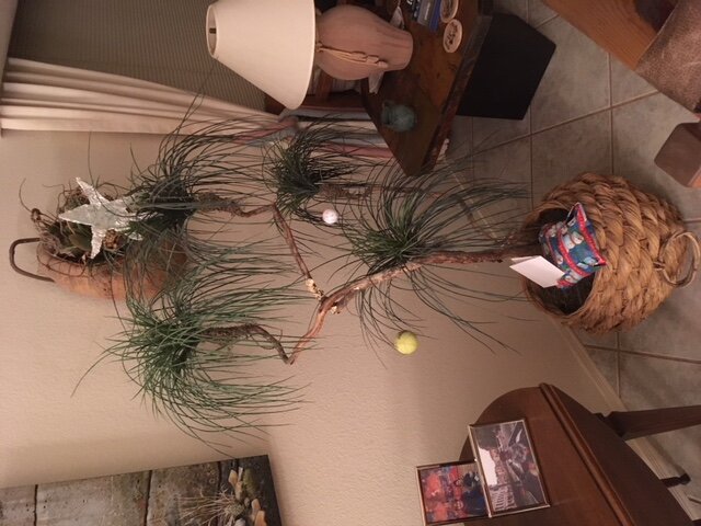 image1.jpeg