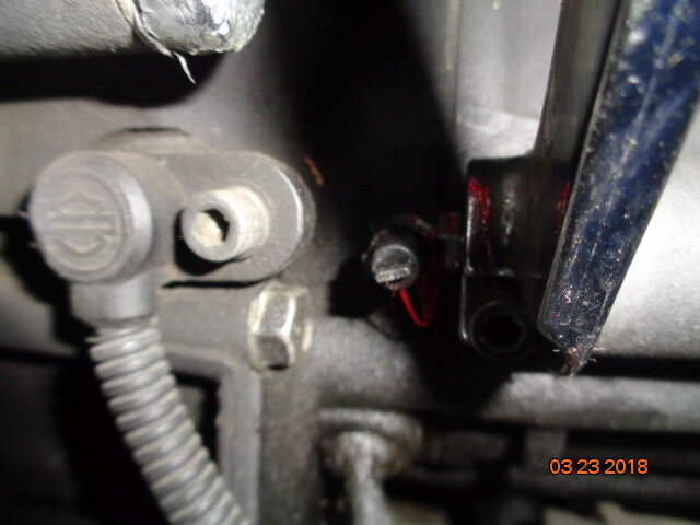 DSC00725.JPG