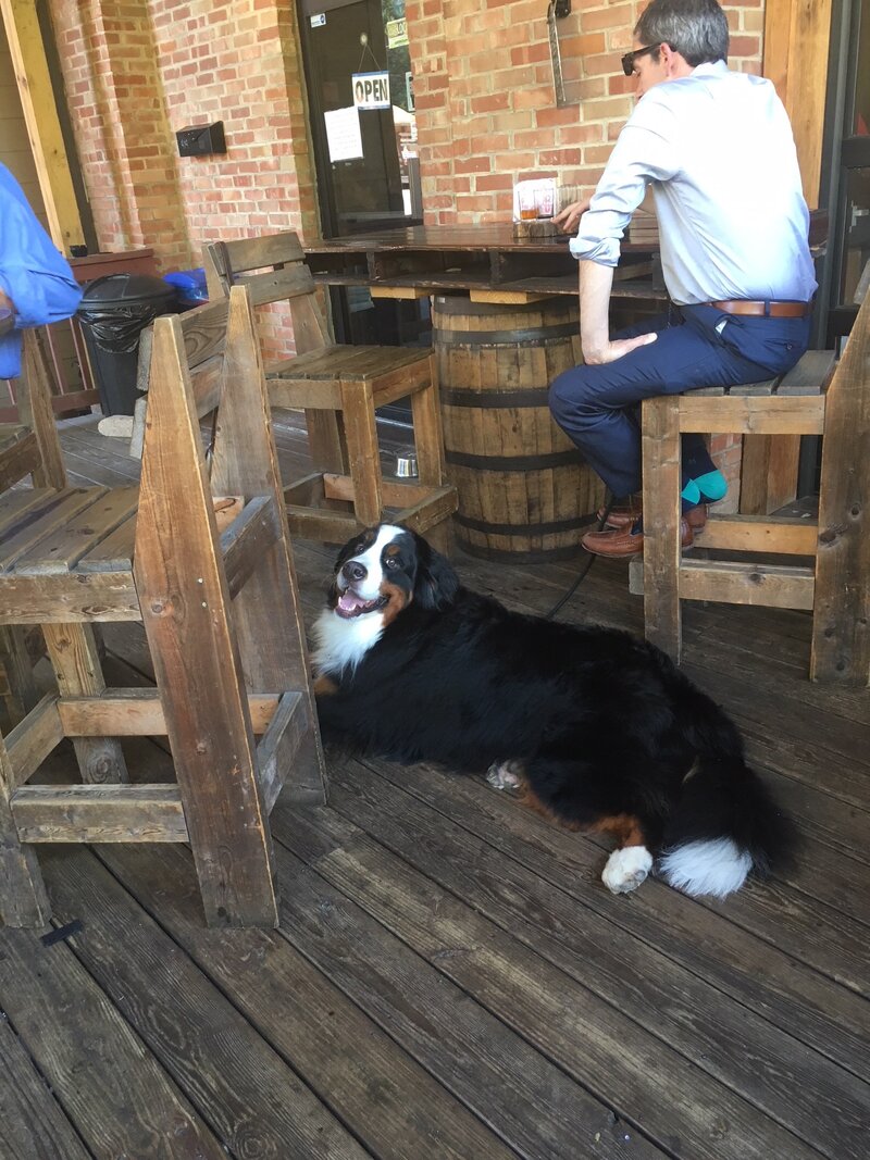 image.jpeg image.jpeg
