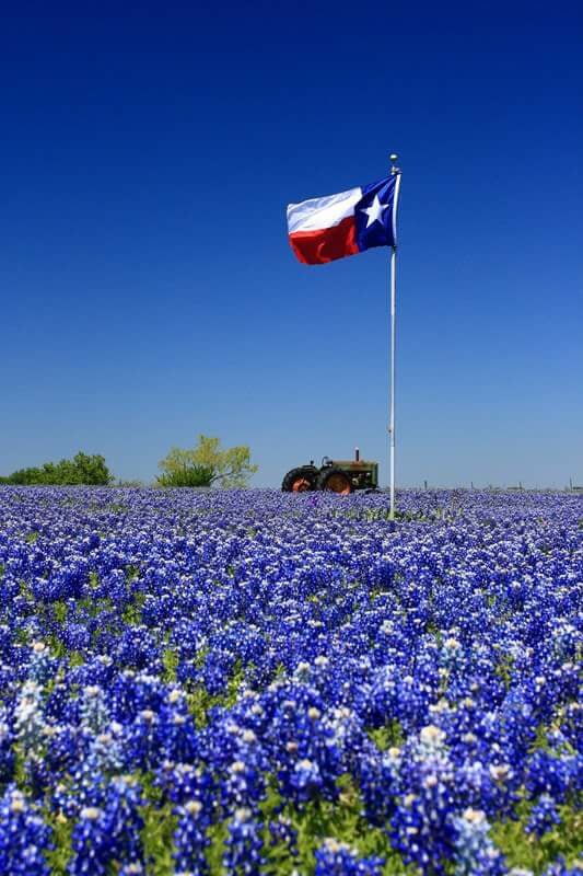 Texasflag.jpg