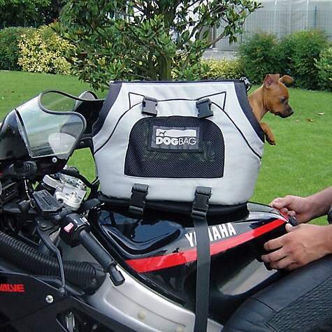 Tank bag dog.jpg