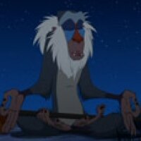 jungle-rafiki  2 sesized.jpg
