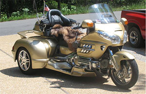 trikeVS.jpg