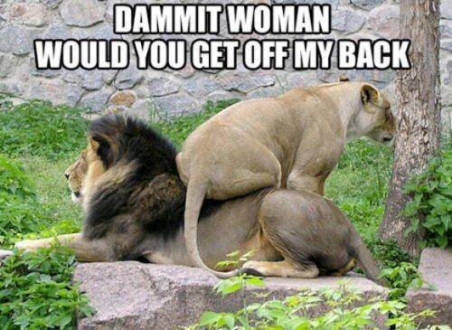 jungle-get off my back.jpg