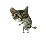 smiles-twerking cat.gif