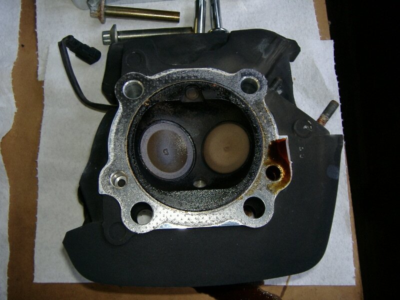 fronthead_zpsafd06574.jpg fronthead_zpsafd06574.jpg