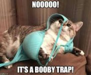 booby trap.jpg