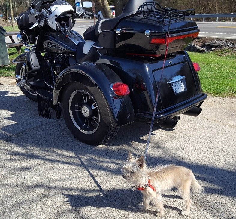 Charlie Bike.jpg