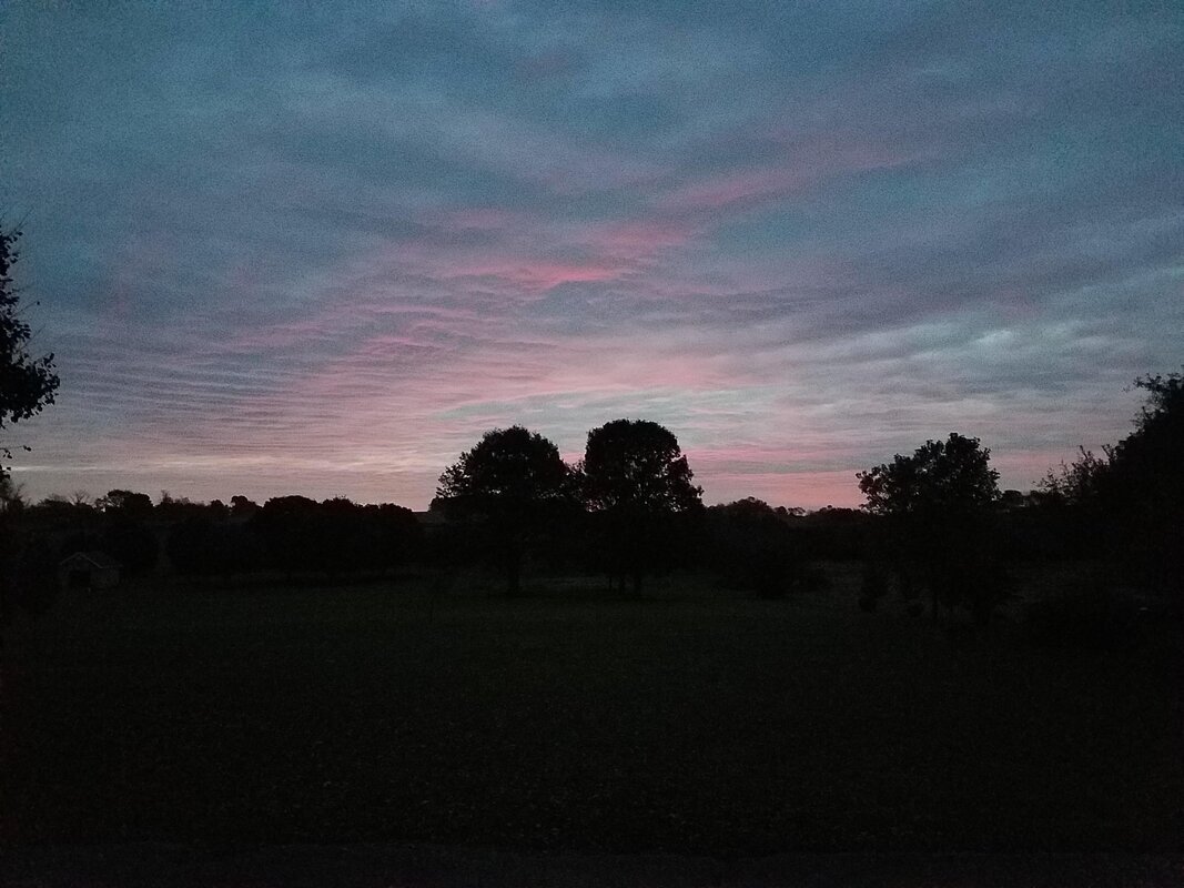 20181014_065516.jpg