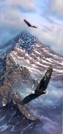 4b6105f57a806c9ecc2a0b9f0d514024--eagle-painting-watercolor-painting.jpg