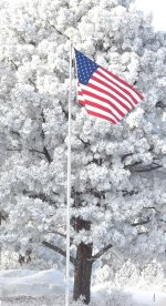 american-flag-snow-phyllis-ezit.jpg