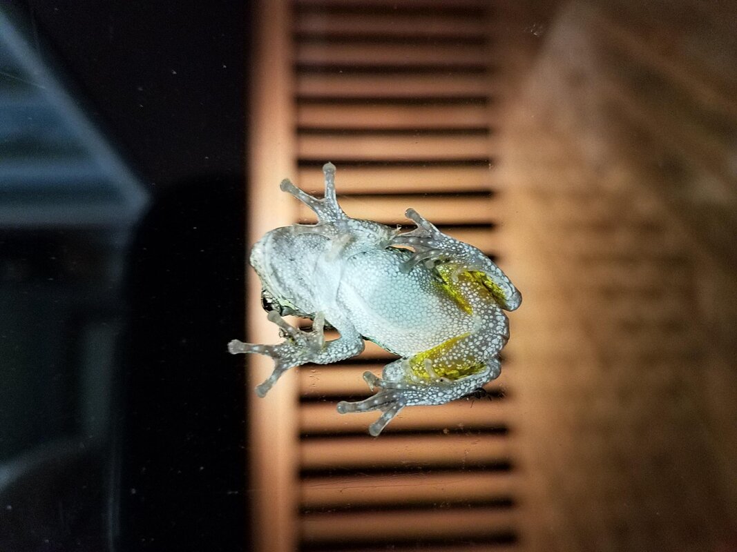20180613_042138.jpg