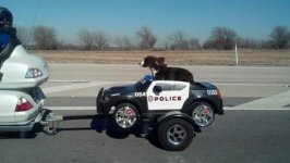 Cop-Dog-in-a-pet-hauling-motorcycle-trailer.jpg