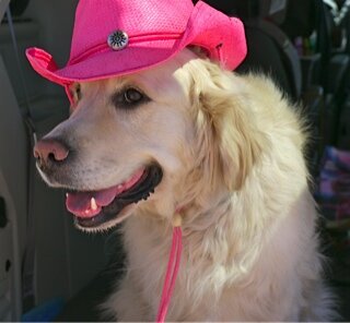 Cowboy Cody.jpg
