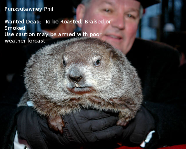 punxsutawneyphi2.jpg