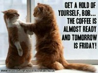 274758-Get-A-Hold-Of-Yourself-Tomorrow-Is-Friday.jpg