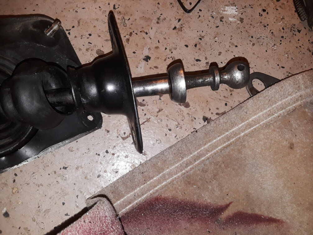 20190404_102224.jpg