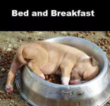 Bed and Breakfast.png