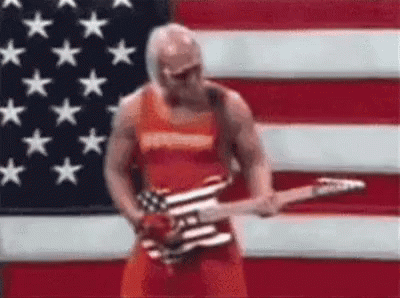 Hulk Hogan.gif
