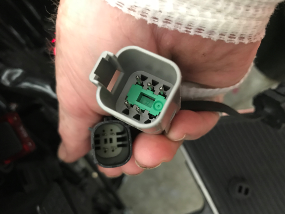 plugs3.png