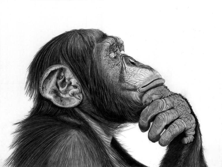 The thinker.jpg