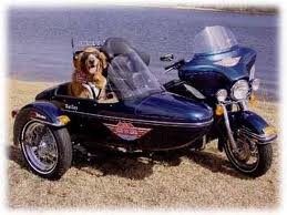 dog in sidecar.jpg