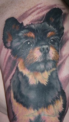 harley on arm.jpg