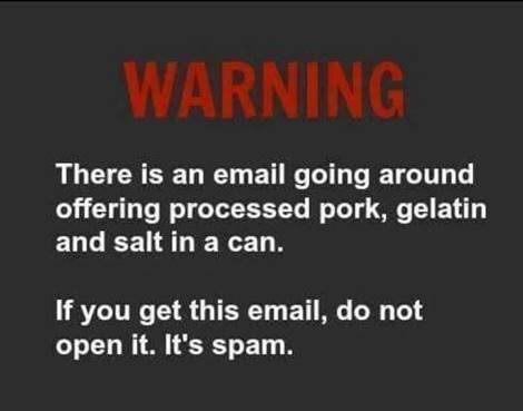 74484767_10220347218779453_686844431172632576_n.jpg