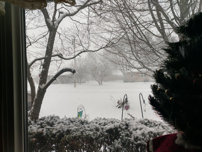 sno 2020.jpg