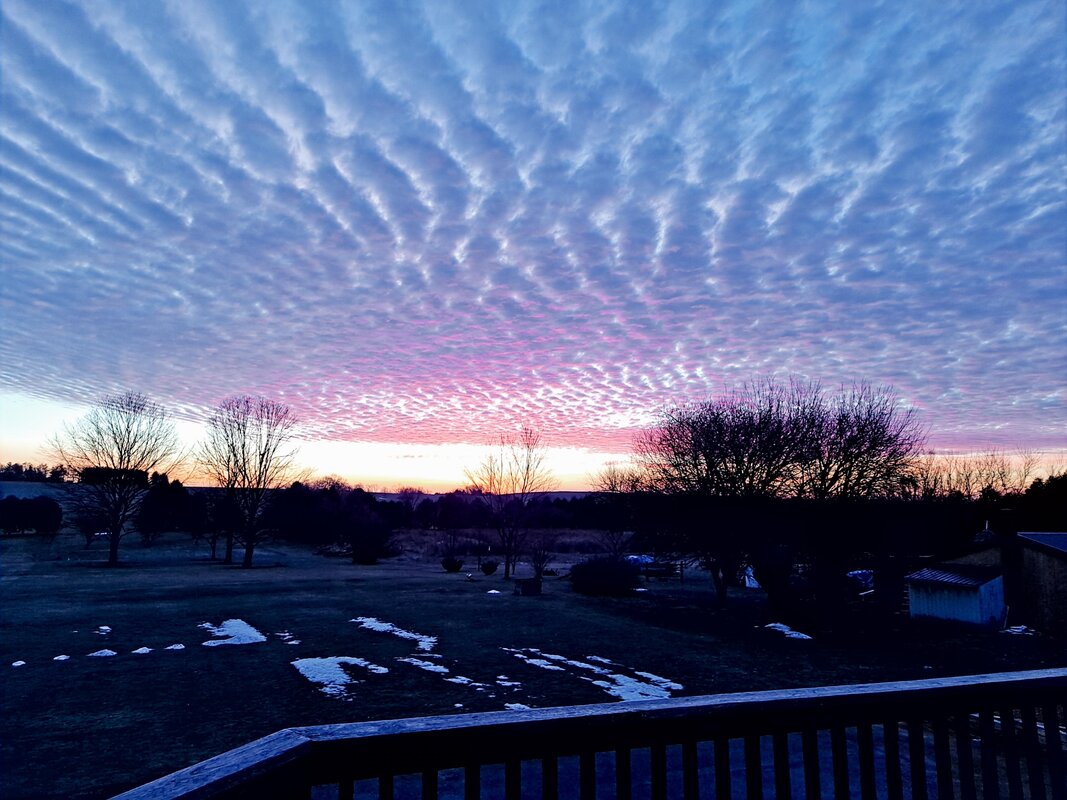 20201227_071713_01.jpg