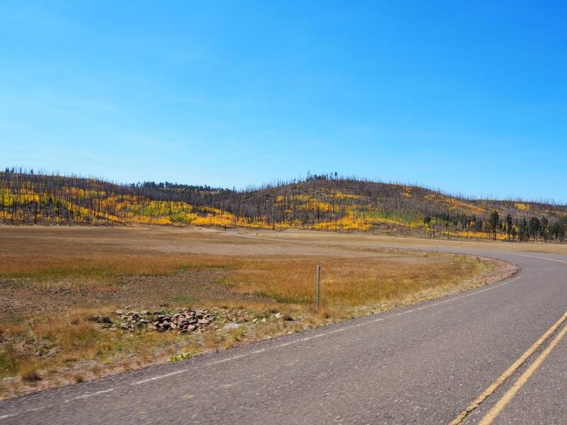 PA020972.jpg