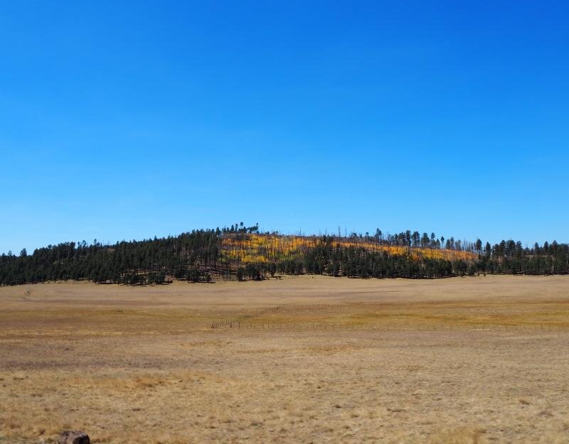 PA020991.jpg