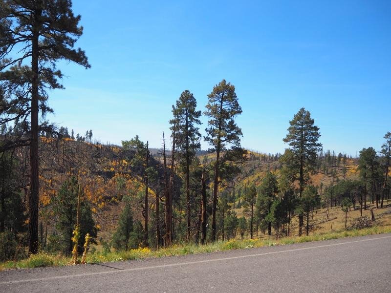 PA020997.jpg