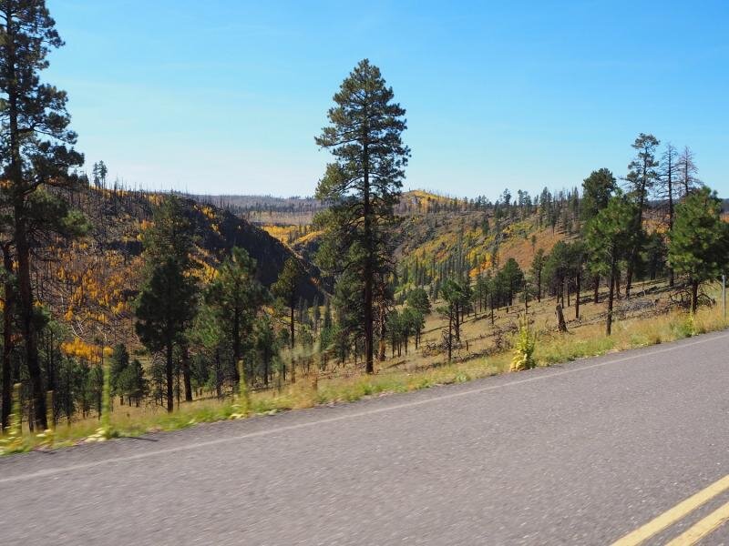 PA021000.jpg