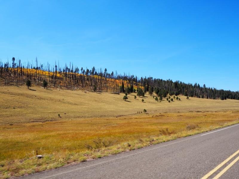 PA021002.jpg