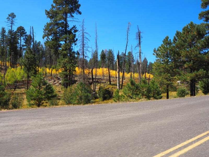 PA021006.jpg