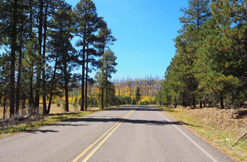PA021017.jpg