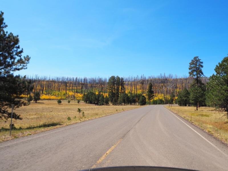 PA021022.jpg