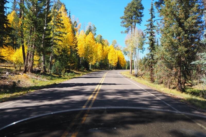PA021029.jpg