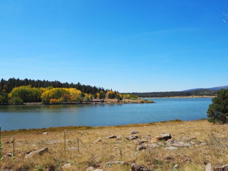 PA021033.jpg