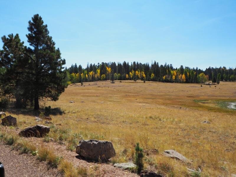 PA021038.jpg