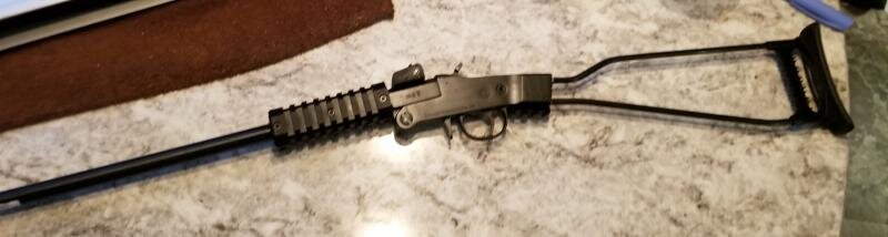 Chiappa Little Badger.jpg