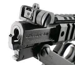 Chiappa 4.jpg