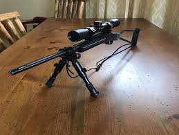 Chiappa 5.jpg
