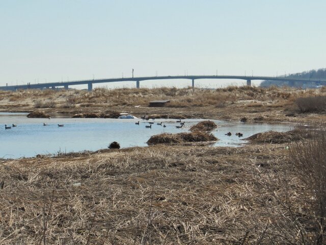 SH8 (640x480).jpg