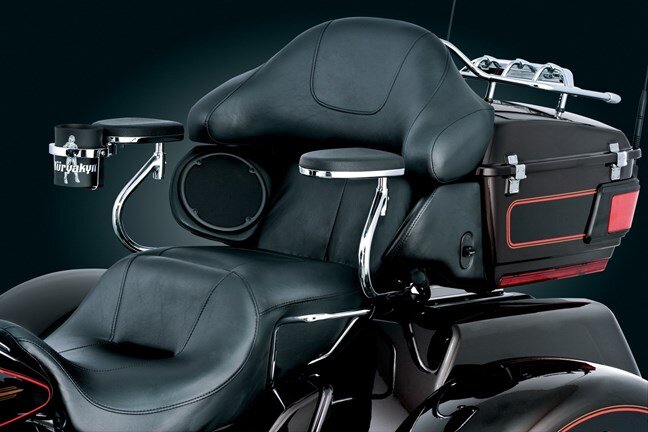 arm rests for trike.jpg