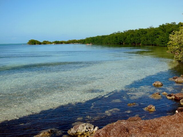 Keys1 (640x480).jpg