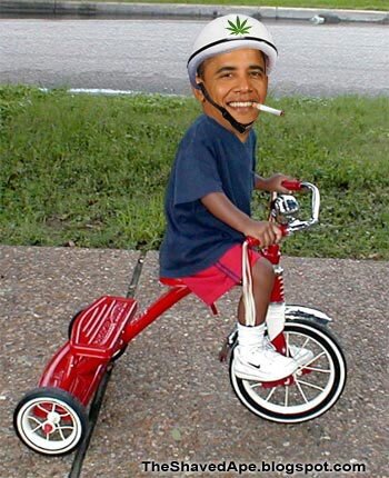 Obama Trike.jpg